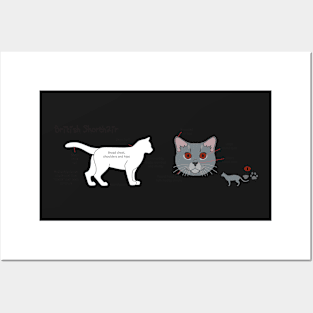 British Shorthair mug Posters and Art